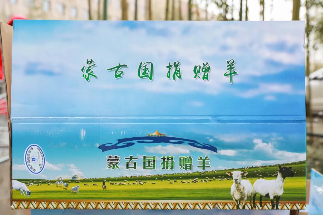 援鄂醫(yī)療隊(duì)：“暖羊羊”來啦！