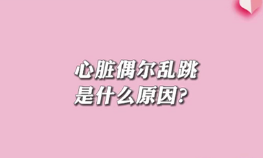 【名醫(yī)面對面之心臟100問】心臟偶爾亂跳是什么原因？