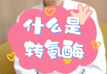 【名醫(yī)面對面之消化100問】什么是轉(zhuǎn)氨酶？