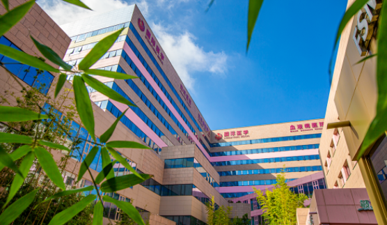 國醫(yī)四味：竹林、紫杉、桂花、銀杏，還有那……