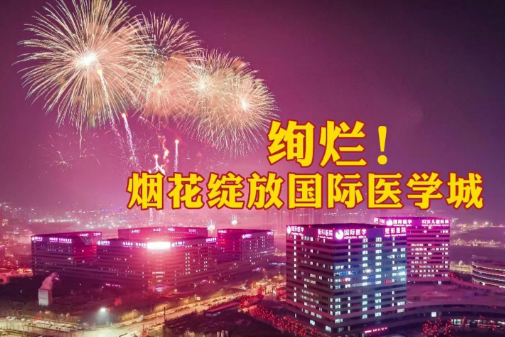 絢爛！煙花綻放國際醫(yī)學(xué)城