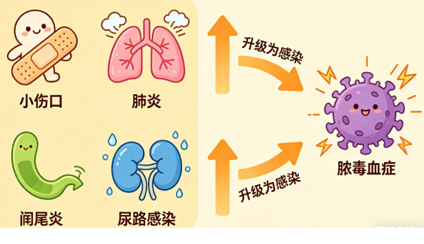 警惕“小毛病”變“大危機”！醫(yī)生提醒：這種“普通感染”可能要命